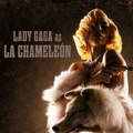 Леди Гага дебютировала в фильме «Мачете убивает»