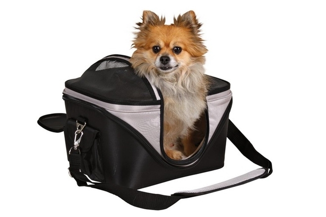 Сезонные виды сумок переносок для собак